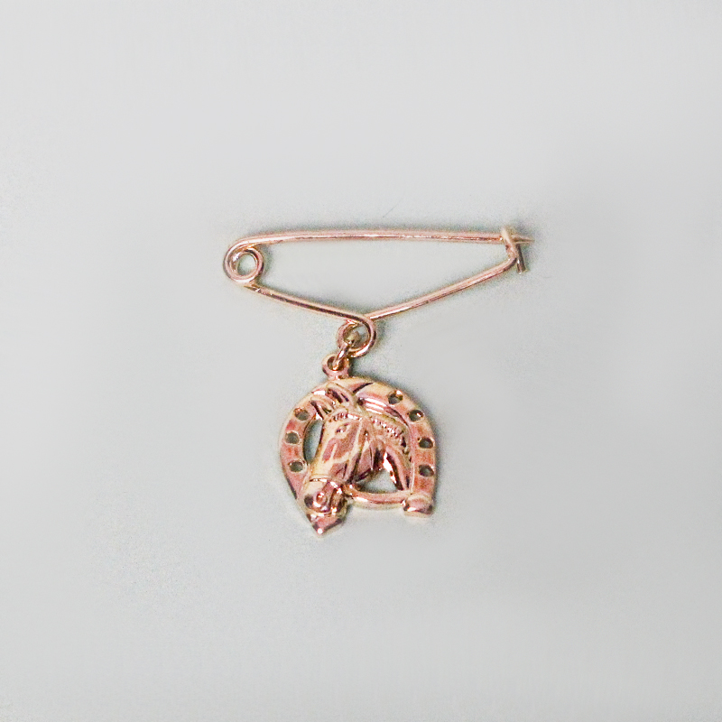 Broche Ferradura da Sorte - Imagem 2